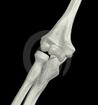 foto demonstrando a aparncia de um osso normal, rico em clcio.