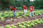 Foto de escola e estudantes Sem Terra - ESCOLA FLORESTAN FERNANDES - Foto: Fernando Pinheiro. <br/> <br/> Palavras-chave: direito, cidadania, movimentos sociais, MST, acampamento, escola itinerante, Florestam Fernardes, Paulo Freire.