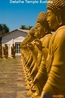 Detalhe de Templo Budista em Foz do Iguau