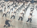 O Tai Chi Chuan  uma arte marcial chinesa, esse estilo de arte marcial  reconhecido tambm como uma forma de meditao em movimento. <br/> <br/> Palavras-chave: tai chi chuan, arte marcial, meditao em movimento.