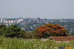 Bairro perifrico de Foz do Iguau, limite entre cidade e campo. <br/> <br/> Palavras-chave: cidades, centros urbanos, periferia, classes sociais.