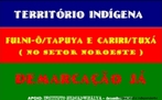 Cartaz pela luta por demarcao de terras indgenas