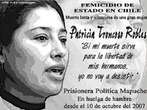 Cartaz sobre fim de greve de Fome - Patricia Troncoso encerrou sua greve de fome (2/2/08) aps receber documentos oficiais do Governo chileno se comprometendo a cumprir suas exigncias. <br/> <br/> Patricia Troncoso, conhecida por "la Chepa",  ativista pelos direitos dos Mapuches no Chile e uma das/os presas/os polticas/os que, aps ataques do 11 de Setembro, foram classificados como "terroristas" na lei de segurana nacional. <br/> <br/> Os mapuches vem lutando pela retomada de terras, contra a lei anti terrorista e pela desmilitarizao das comunidades VIII e IX. Em 2003 o jovem Alex Lemun, de 17 anos, foi assassinado em Temuko e no dia 03/01, neste ano de 2008, Matas Catrileo, de 20 anos, tambm foi assassinado por policiais. <br/> <br/> Palavras-chave: lei anti terrorista, mapuche, chile, movimento social, direito, cidadania, greve, fome.