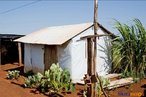 Barraca no acampamento <br/> Detalhe de acampamento do MST s margens de grandes latifndios de soja - 2008, na luta por assentamentos, reforma agrria e transformaes sociais. <br/> H 25 anos atrs, em Cascavel (PR), surgiu o MST unindo posseiros, atingidos por barragens, migrantes, meeiros, parceiros e pequenos agricultores. Desde sua fundao, o Movimento Sem Terra se organiza em torno de trs objetivos principais: Lutar pela terra; Lutar por Reforma Agrria; Lutar por uma sociedade mais justa e fraterna. <br/> <br/> Palavras-chave: Movimentos sociais, MST, mst, acampamento, assentamento, direito, reforma agrria, trabalahadores rurais, camponeses, democracia, funo social da terra, cidadania, movimentos agrrios no Brasil.