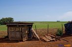 Construes rsticas tendo o latifndio ao fundo <br/> Detalhe de acampamento do MST s margens de grandes latifndios de soja - 2008, na luta por assentamentos, reforma agrria e transformaes sociais. <br/> H 25 anos atrs, em Cascavel (PR), surgiu o MST unindo posseiros, atingidos por barragens, migrantes, meeiros, parceiros e pequenos agricultores. Desde sua fundao, o Movimento Sem Terra se organiza em torno de trs objetivos principais: Lutar pela terra; Lutar por Reforma Agrria; Lutar por uma sociedade mais justa e fraterna. <br/> <br/> Palavras-chave: Movimentos sociais, MST, acampamento, assentamento, direito, reforma agrria, trabalhadores rurais, camponeses, democracia, funo social da terra, cidadania, movimentos agrrios no Brasil.