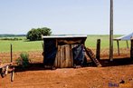 Barraca no acampamento  Detalhe de acampamento do MST s margens de grandes latifndios de soja - 2008, na luta por assentamentos, reforma agrria e transformaes sociais.  H 25 anos atrs, em Cascavel (PR), surgiu o MST unindo posseiros, atingidos por barragens, migrantes, meeiros, parceiros e pequenos agricultores. Desde sua fundao, o Movimento Sem Terra se organiza em torno de trs objetivos principais: Lutar pela terra; Lutar por Reforma Agrria; Lutar por uma sociedade mais justa e fraterna.  <br/> <br/> palavras-chave: Movimentos sociais, MST, acampamento, assentamento, direito, reforma agrria, trabalhadores rurais, camponeses, democracia, funo social da terra, cidadania, movimentos agrrios no Brasil.