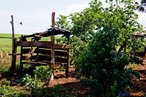 Construo rstica tendo um latifndio ao fundo <br/> Detalhe de acampamento do MST s margens de grandes latifndios de soja - 2008, na luta por assentamentos, reforma agrria e transformaes sociais. <br/> H 25 anos atrs, em Cascavel (PR), surgiu o MST unindo posseiros, atingidos por barragens, migrantes, meeiros, parceiros e pequenos agricultores. Desde sua fundao, o Movimento Sem Terra se organiza em torno de trs objetivos principais: Lutar pela terra; Lutar por Reforma Agrria; Lutar por uma sociedade mais justa e fraterna. <br/> <br/> Palavras-chave: Movimentos sociais, MST, acampamento, assentamento, direito, reforma agrria, trabalhadores rurais, camponeses, democracia, funo social da terra, cidadania, movimentos agrrios no Brasil.