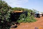 Barraca no acampamento <br/> Detalhe de acampamento do MST s margens de grandes latifndios de soja - 2008, na luta por assentamentos, reforma agrria e transformaes sociais. <br/> H 25 anos atrs, em Cascavel (PR), surgiu o MST unindo posseiros, atingidos por barragens, migrantes, meeiros, parceiros e pequenos agricultores. Desde sua fundao, o Movimento Sem Terra se organiza em torno de trs objetivos principais: Lutar pela terra; Lutar por Reforma Agrria; Lutar por uma sociedade mais justa e fraterna. <br/> <br/> Palavras-chave: Movimentos sociais, MST, acampamento, assentamento, direito, reforma agrria, trabalhadores rurais, camponeses, democracia, funo social da terra, cidadania, movimentos agrrios no Brasil.