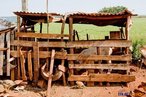 Subsistncia do acampamento. <br/> Detalhe de acampamento do MST s margens de grandes latifndios de soja - 2008, na luta por assentamentos, reforma agrria e transformaes sociais. H 25 anos atrs, em Cascavel (PR), surgiu o MST unindo posseiros, atingidos por barragens, migrantes, meeiros, parceiros e pequenos agricultores. Desde sua fundao, o Movimento Sem Terra se organiza em torno de trs objetivos principais: Lutar pela terra; Lutar por Reforma Agrria; Lutar por uma sociedade mais justa e fraterna. <br/> <br/> Palavras-chave: Movimentos sociais, MST, mst, acampamento, assentamento, direito, reforma agrria, trabalahadores rurais, camponeses, democracia, funo social da terra, cidadania, movimentos agrrios no Brasil.