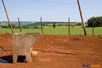 At onde a vista alcana. Esta  a exteno do latifndio, que vai at a linha do horizonte.  Detalhe de acampamento do MST s margens de grandes latifndios de soja - 2008, na luta por assentamentos, reforma agrria e transformaes sociais.  H 25 anos atrs, em Cascavel (PR), surgiu o MST unindo posseiros, atingidos por barragens, migrantes, meeiros, parceiros e pequenos agricultores. Desde sua fundao, o Movimento Sem Terra se organiza em torno de trs objetivos principais: Lutar pela terra; Lutar por Reforma Agrria; Lutar por uma sociedade mais justa e fraterna. <br/> <br/> Palavras-chave: Movimentos sociais, MST, acampamento, assentamento, direito, reforma agrria, trabalhadores rurais, camponeses, democracia, funo social da terra, cidadania, movimentos agrrios no Brasil.