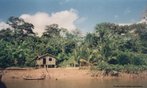 Casa as margens de rio na Amazônia - comunidade ribeirinha. <br/> <br/> Palavras-chave: direito, cidadania e movimentos sociais, ribeirinhos, palafita, amazônia.